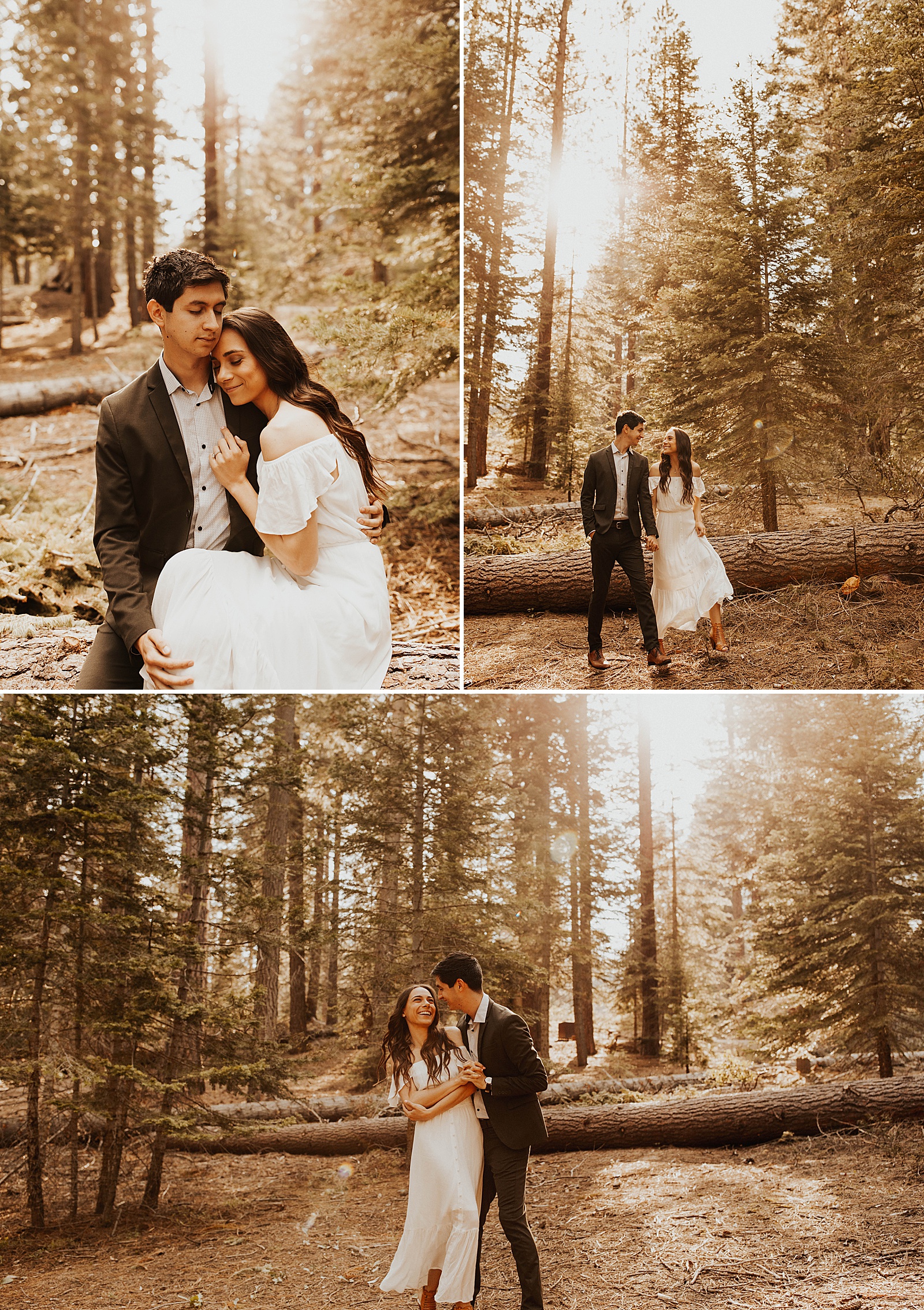 Gorgeous engagement photos at Kings Canyon and Sequoia National Park at golden hour.