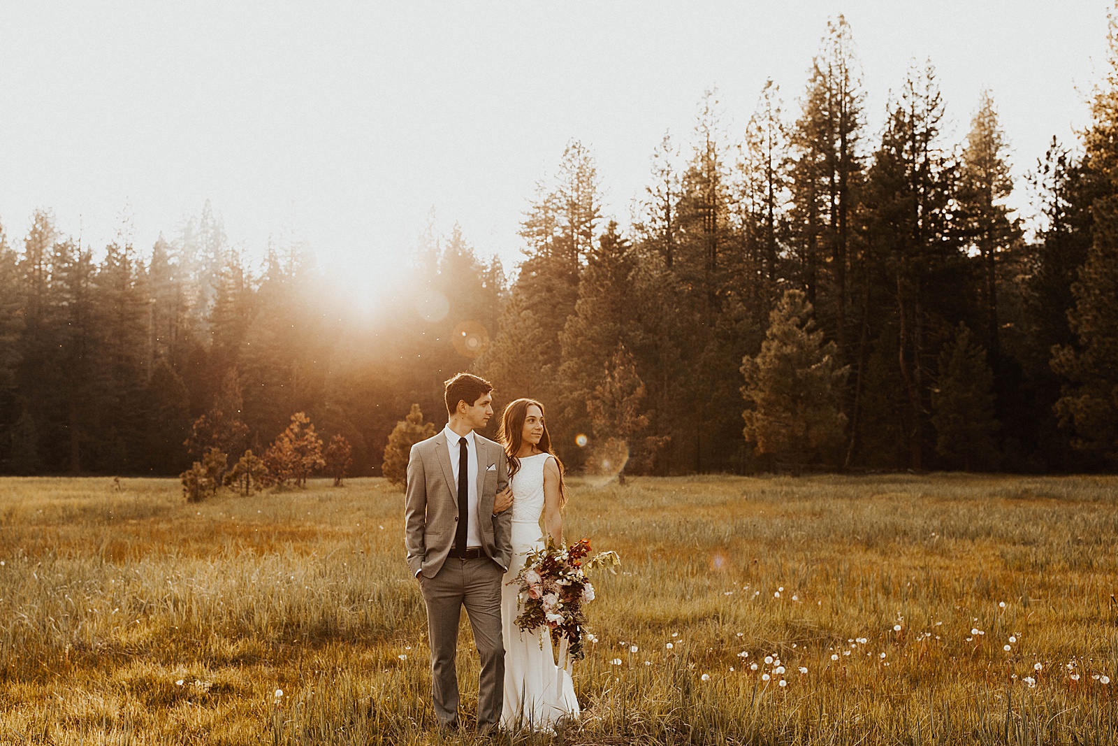 A bride and groom photo at Kings Canyon and Sequoia National Park.